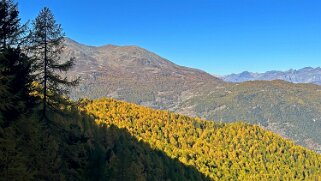 Gspon - Visperterminen null