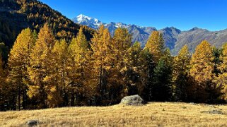 Gspon - Visperterminen null