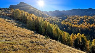 Gspon - Visperterminen null