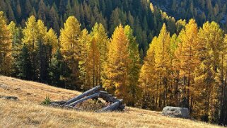 Gspon - Visperterminen null