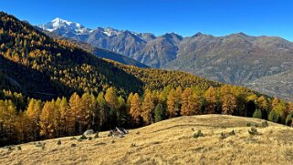 Gspon - Visperterminen null