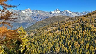 Gspon - Visperterminen null