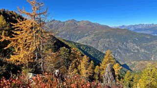 Gspon - Visperterminen null