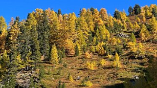 Gspon - Visperterminen null