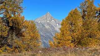 Gspon - Visperterminen null