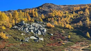 Gspon - Visperterminen null