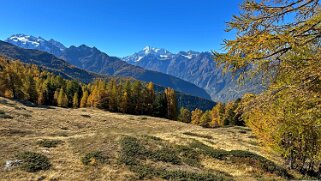 Gspon - Visperterminen null