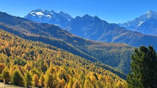 Gspon - Visperterminen null