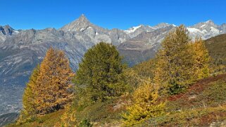 Gspon - Visperterminen null