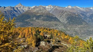 Gspon - Visperterminen null