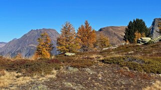 Gspon - Visperterminen null