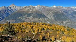 Gspon - Visperterminen null