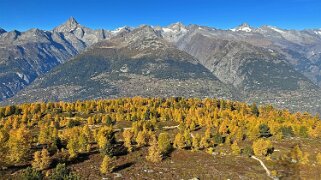 Gspon - Visperterminen null