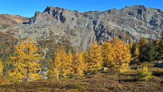 Gspon - Visperterminen null