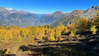 Gspon - Visperterminen null