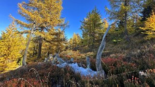 Gspon - Visperterminen null