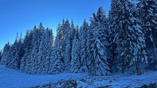 Haut du Mollendruz null
