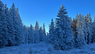 Haut du Mollendruz null