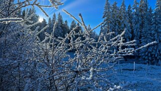 Haut du Mollendruz null