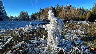 Haut du Mollendruz null