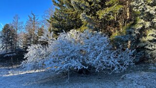 Haut du Mollendruz null