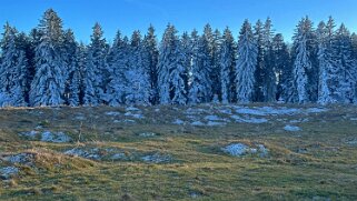 Haut du Mollendruz null