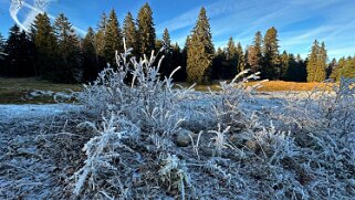 Haut du Mollendruz null