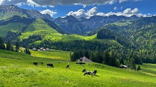La Valsainte - La Berra Rando 2025