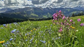 La Valsainte - La Berra Rando 2025
