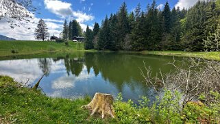 Lac des Joncs 1230 m Rando 2025