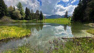 Lac des Joncs 1230 m Rando 2025