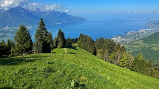 Haut-de-Caux - Le Merdasson Rando 2025
