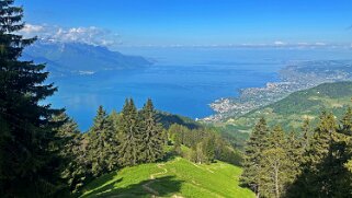 Haut-de-Caux - Le Merdasson Rando 2025