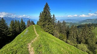 Haut-de-Caux - Le Merdasson Rando 2025