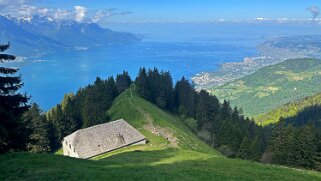 Haut-de-Caux - Le Merdasson Rando 2025