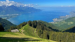 Haut-de-Caux - Le Merdasson Rando 2025