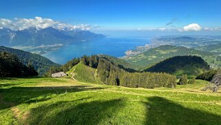 Haut-de-Caux - Le Merdasson Rando 2025