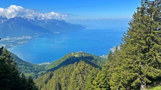 Haut-de-Caux - Le Merdasson Rando 2025