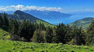 Col de Jaman - Col du Soladier Rando 2025