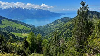 Col de Jaman - Col du Soladier Rando 2025