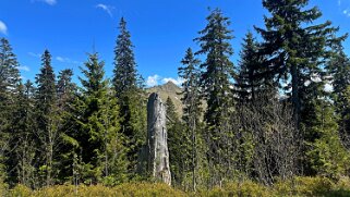 Col de Soladier - Sonloup Rando 2025