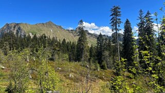 Col de Soladier - Sonloup Rando 2025
