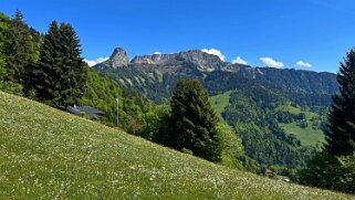 Le Merdasson - Dent de Jaman - Les Rochers de Naye - Les Avants Rando 2025