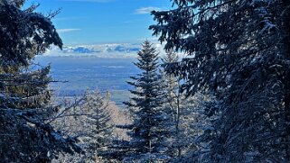 Col du Mollendruz - Croix de Châtel null