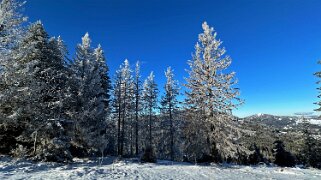Col du Mollendruz - Croix de Châtel null