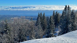 Col du Mollendruz - Croix de Châtel null