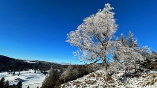 Col du Mollendruz - Croix de Châtel null