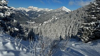Savolaire - Val de Morgins null