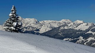 Savolaire - Val de Morgins null