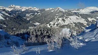 Savolaire - Val de Morgins null